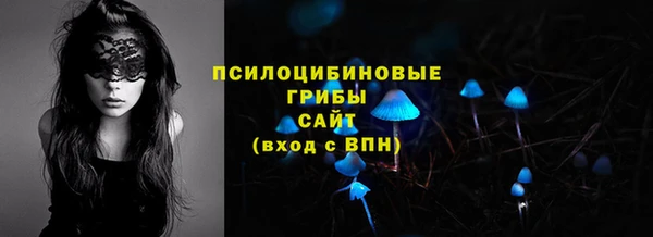 амф Арсеньев