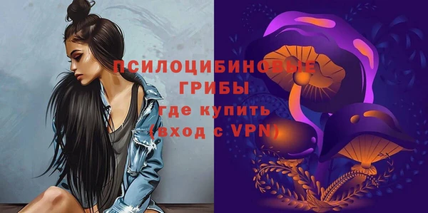 амф Арсеньев