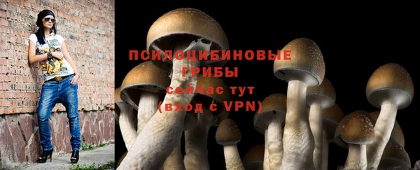 амф Арсеньев
