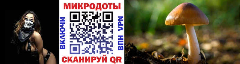 где можно купить   Никольское  Галлюциногенные грибы мицелий 