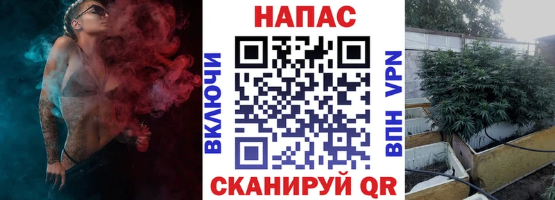 Шишки марихуана SATIVA & INDICA  KRAKEN сайт  Никольское  сколько стоит 